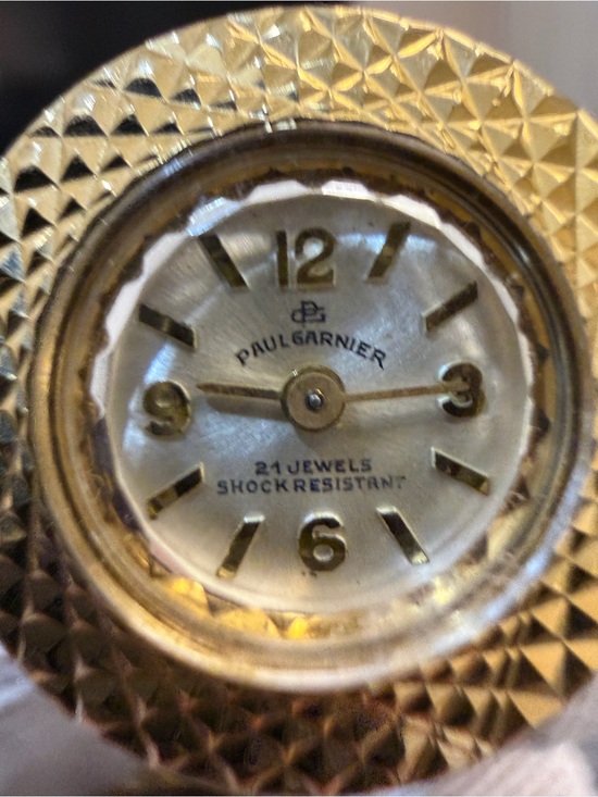 Vtg Paul Garnier 21 Jewels Pendant Watch Necklace Gold Tone Dome Cage Filigree main image 11